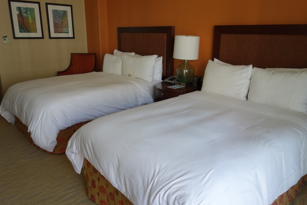 f:id:europe58:20131113141036j:image:w360 f:id:europe58:20131113141036j:image:w360