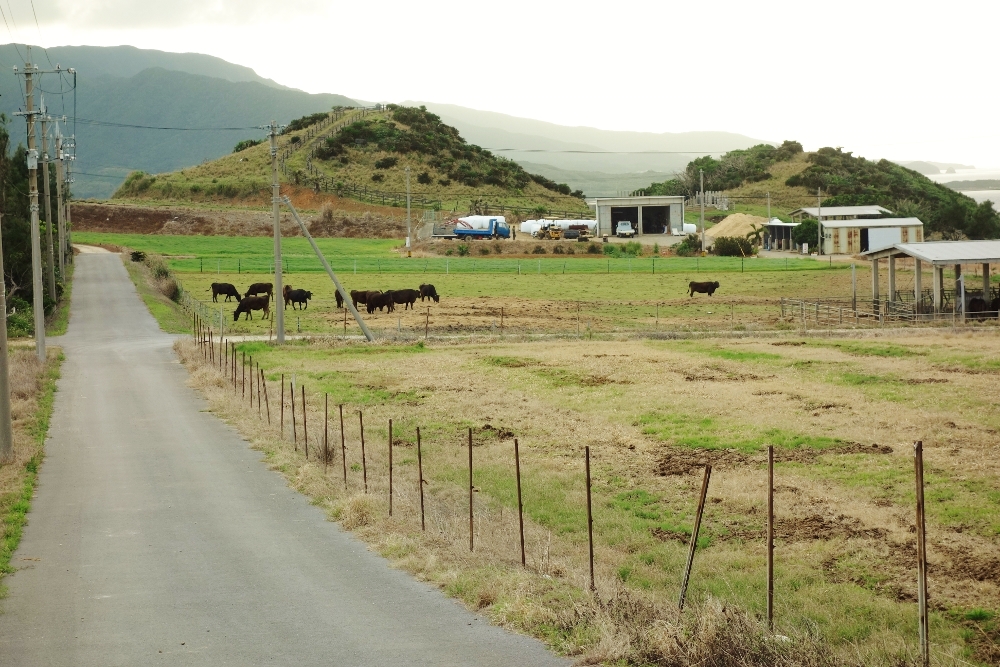 f:id:europe58:20141007000806j:image:w440