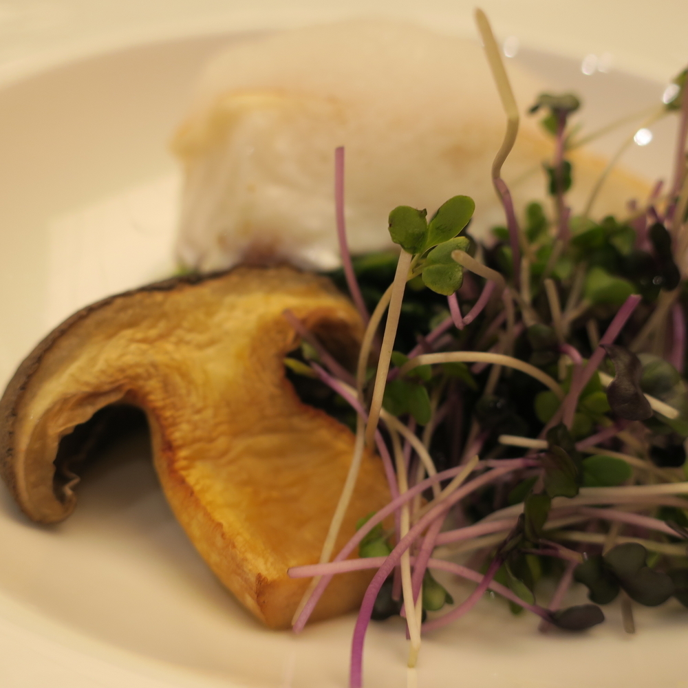 f:id:europe58:20190623201129j:image:w280