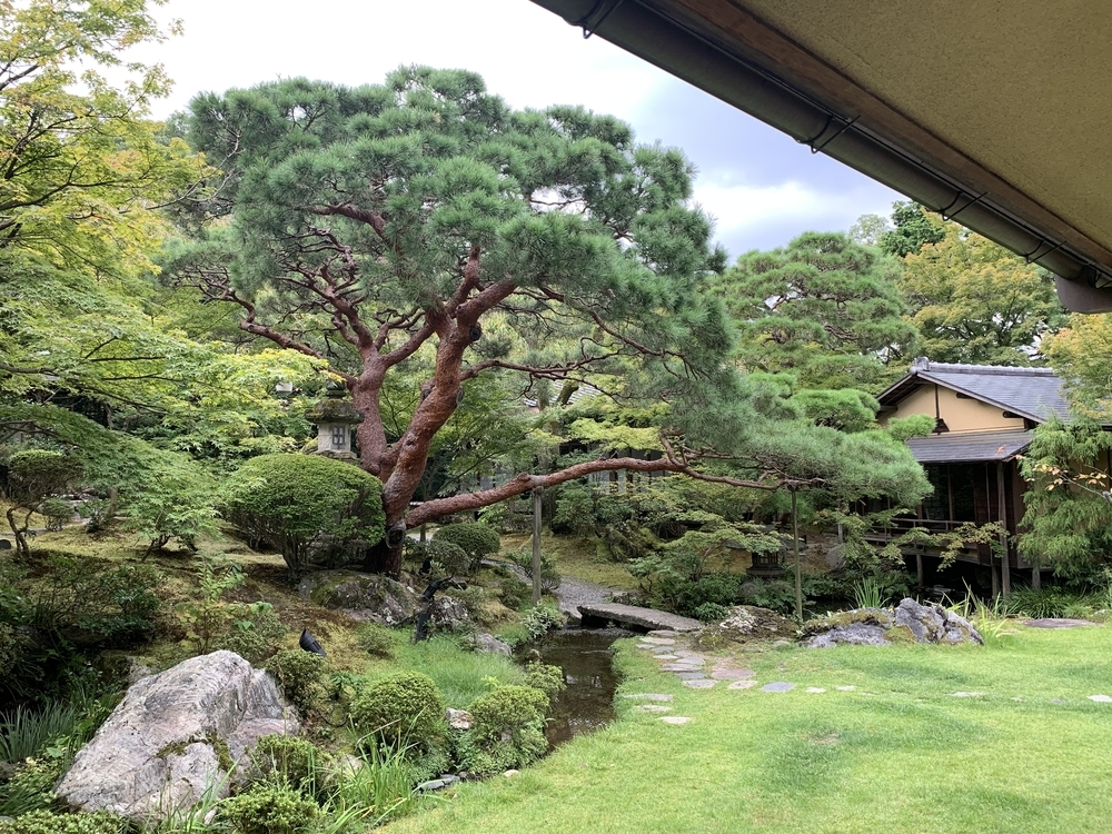 f:id:europe58:20210116164710j:plain