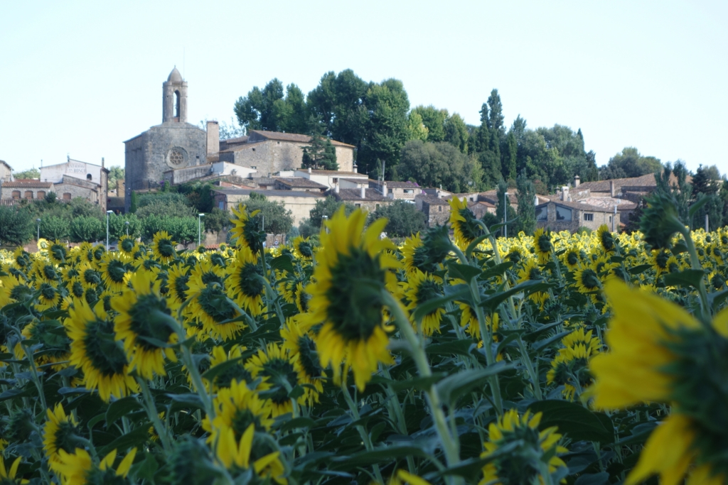 f:id:europe_visite:20160623070649j:plain