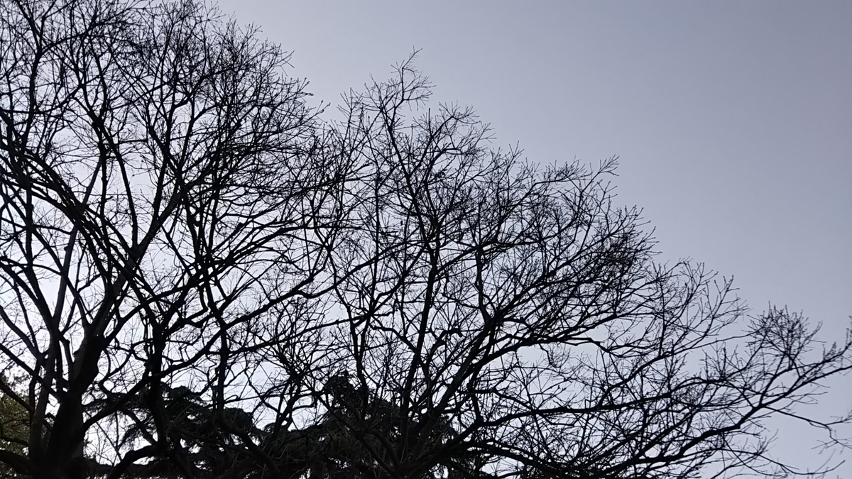 f:id:eurotravellermay:20190428140701j:plain f:id:eurotravellermay:20190428140701j:plain