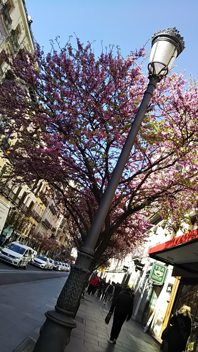 f:id:eurotravellermay:20190428140744j:plain f:id:eurotravellermay:20190428140744j:plain
