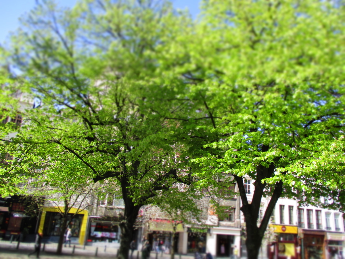 f:id:eurotravellermay:20190428140911j:plain f:id:eurotravellermay:20190428140911j:plain