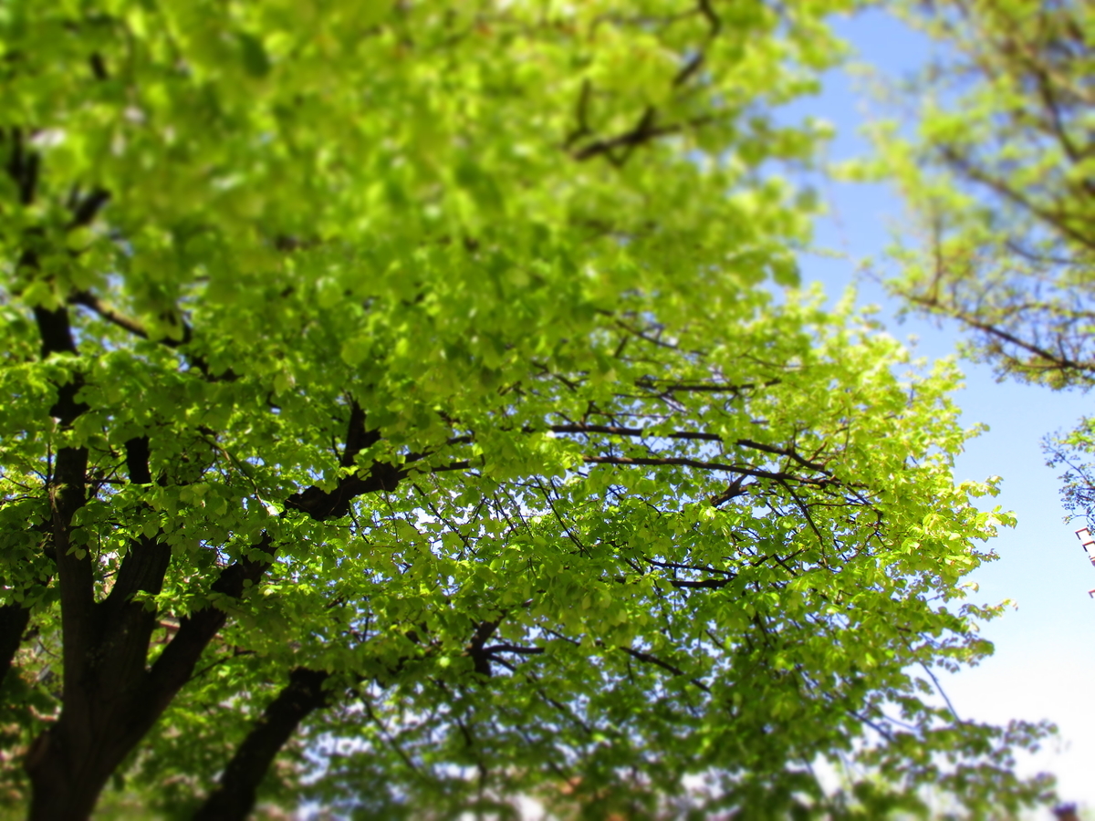 f:id:eurotravellermay:20190429105356j:plain f:id:eurotravellermay:20190429105356j:plain