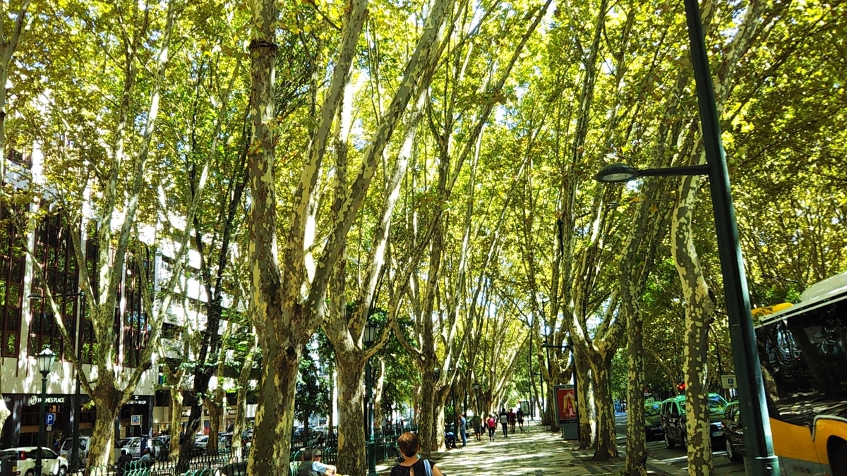 f:id:eurotravellermay:20191204224617j:plain