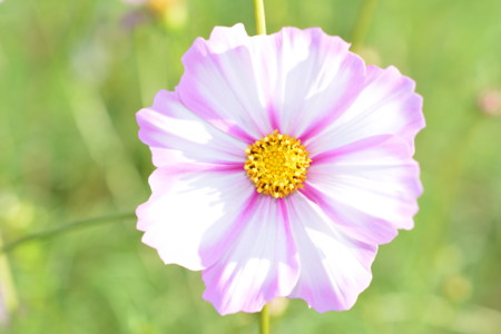 f:id:euvo:20131006151023j:image