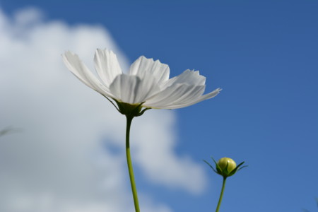 f:id:euvo:20131006151403j:image
