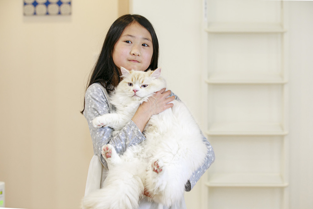 菱沼さんの娘さんと猫