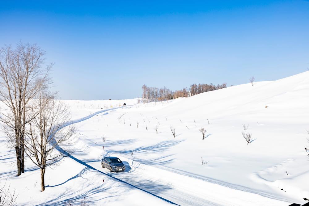 雪道を走るリーフ