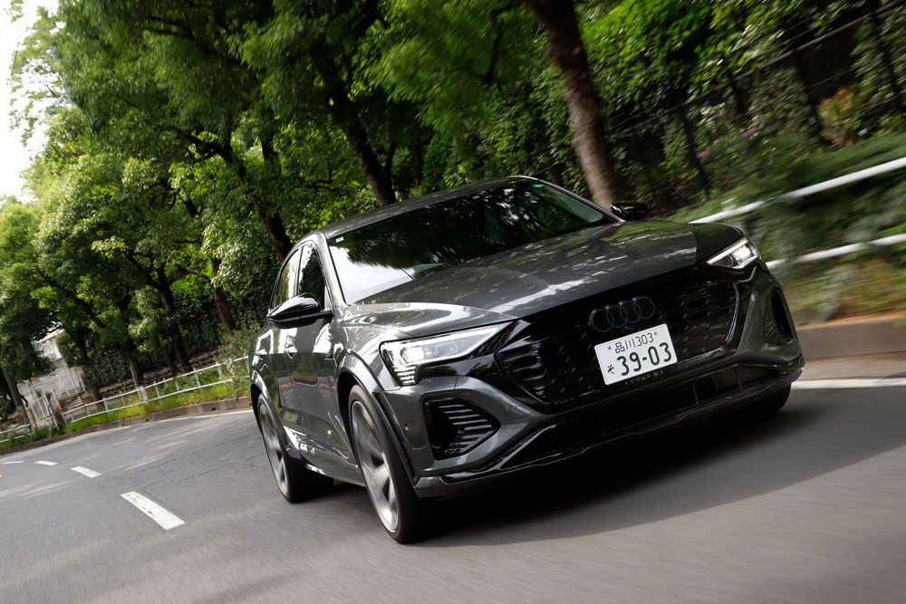 走っている様子