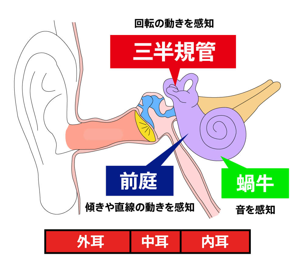 〈図〉内耳の構造