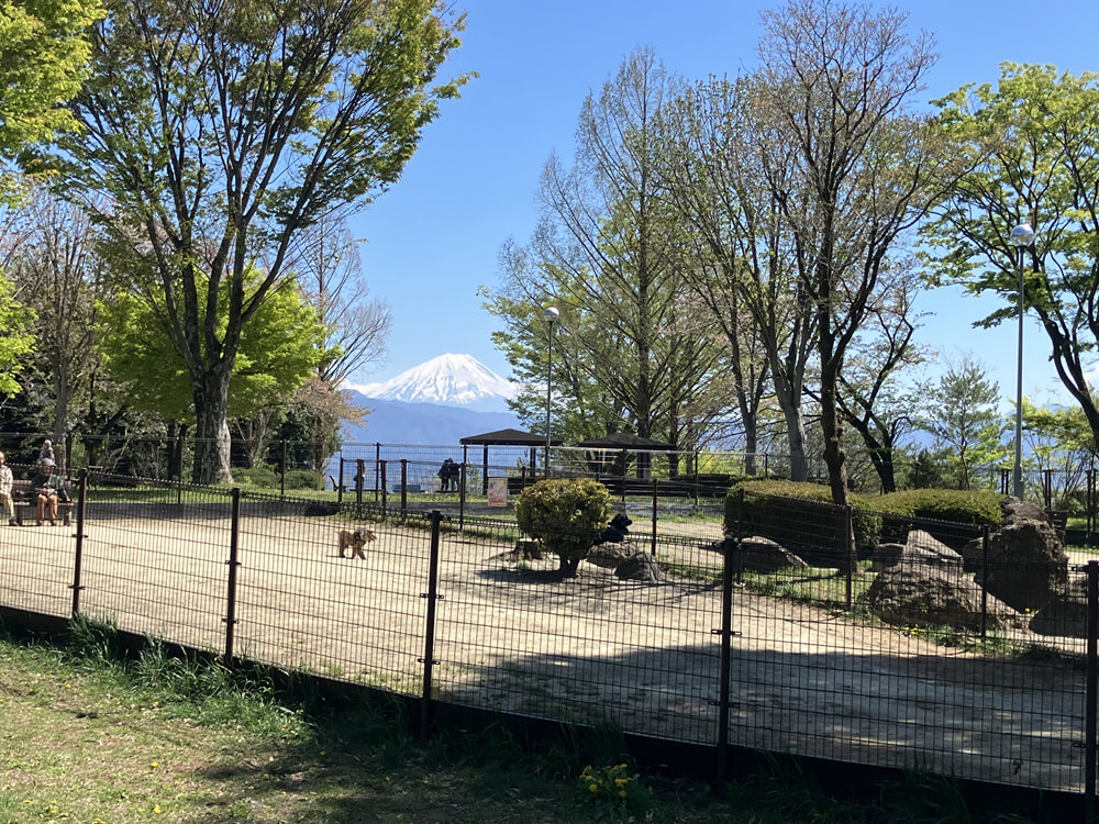ドッグラン
