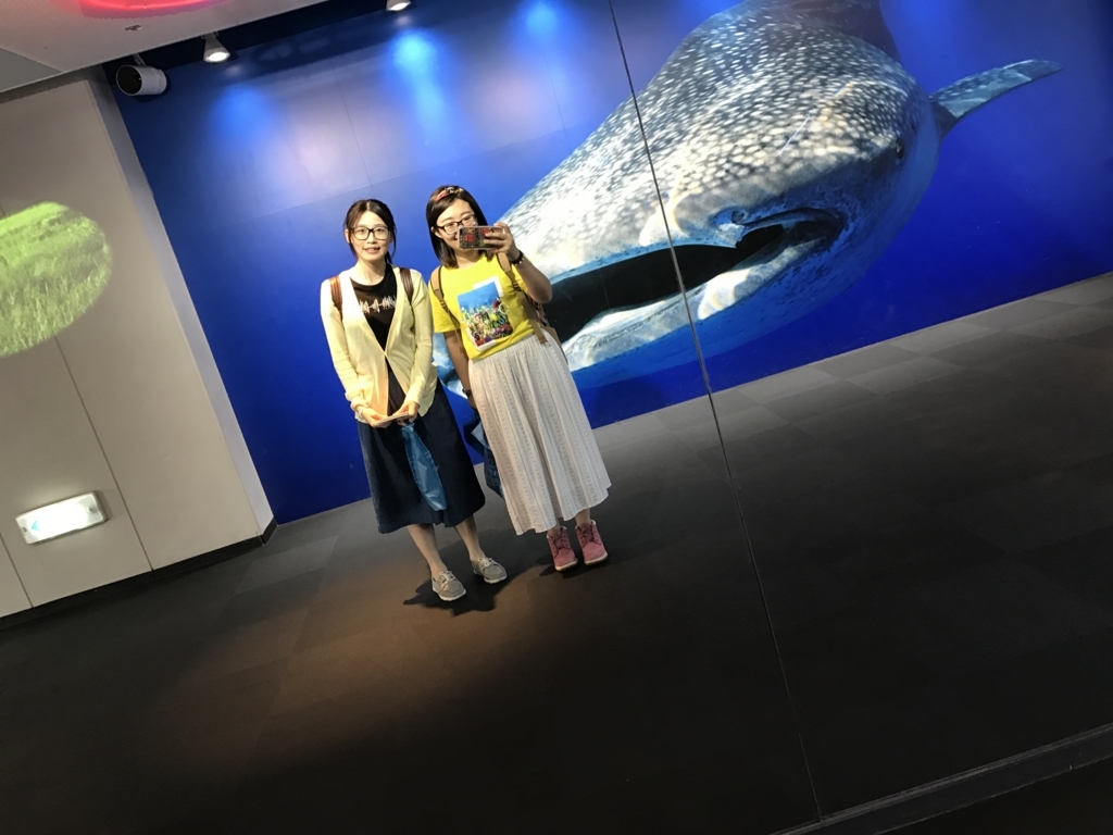 f:id:evenscho:20170614102835j:plain