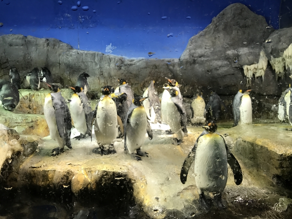 f:id:evenscho:20170614115221j:plain