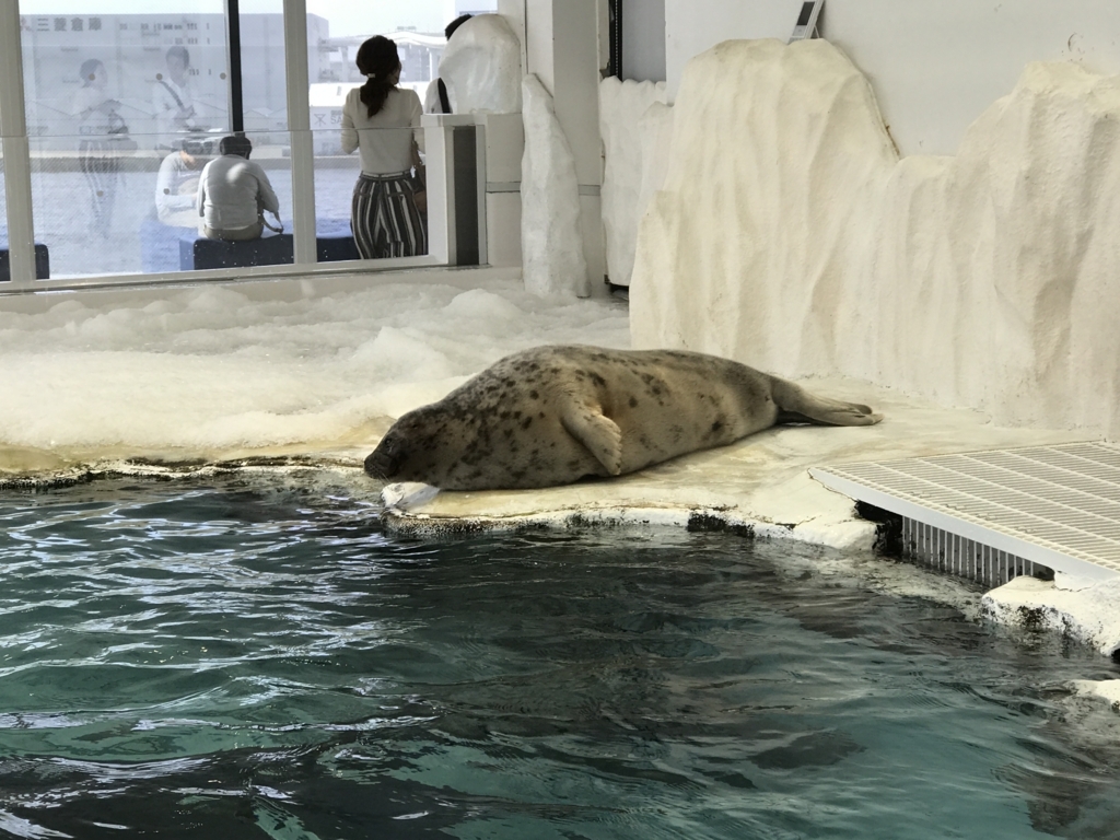 f:id:evenscho:20170614182520j:plain