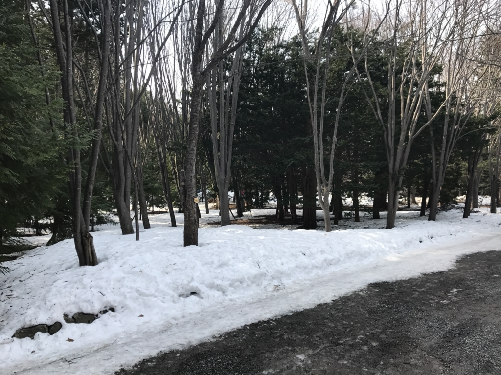 f:id:evenscho:20180430200438j:plain