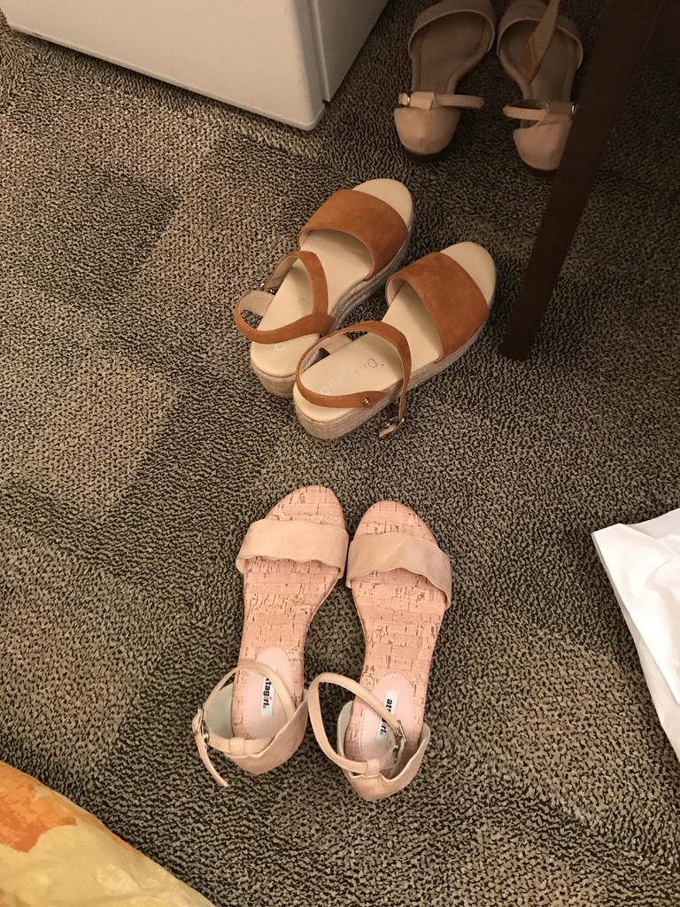 f:id:evenscho:20190311230050j:plain