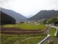 中坪の風景