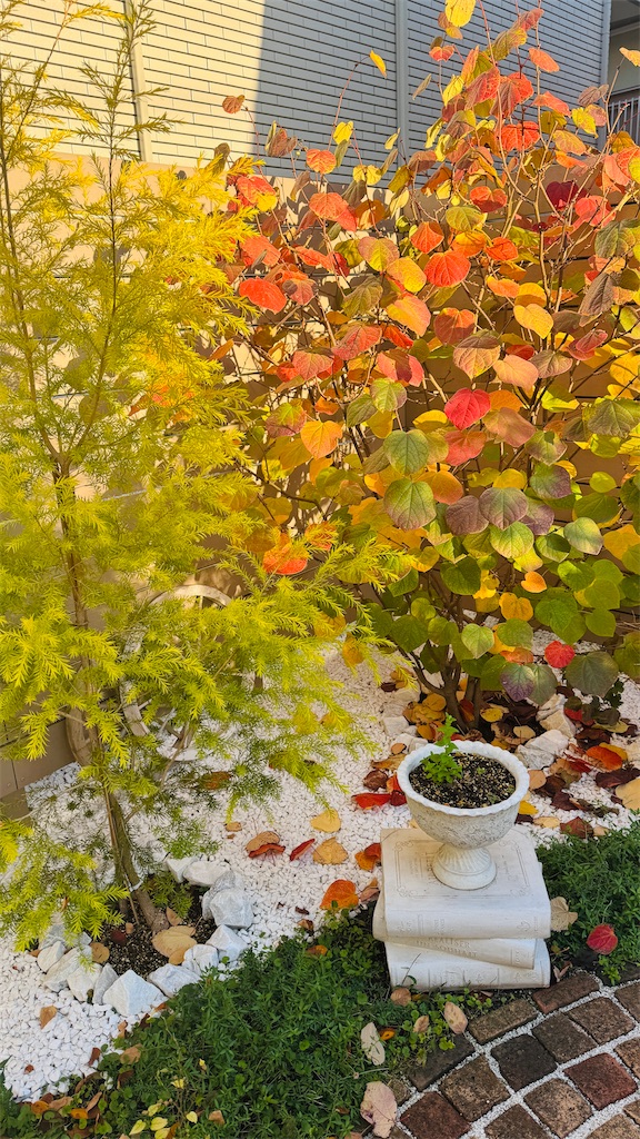 f:id:evergreen104:20251118133136j:image