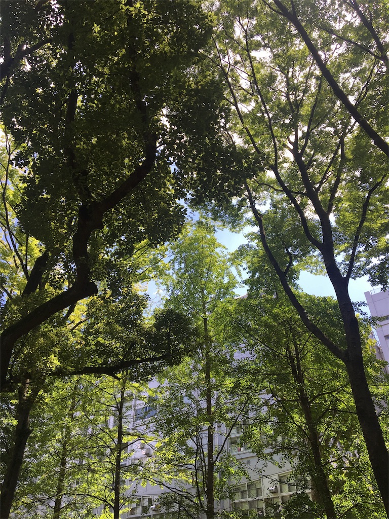 f:id:evergreen114:20160807234031j:image f:id:evergreen114:20160807234031j:image