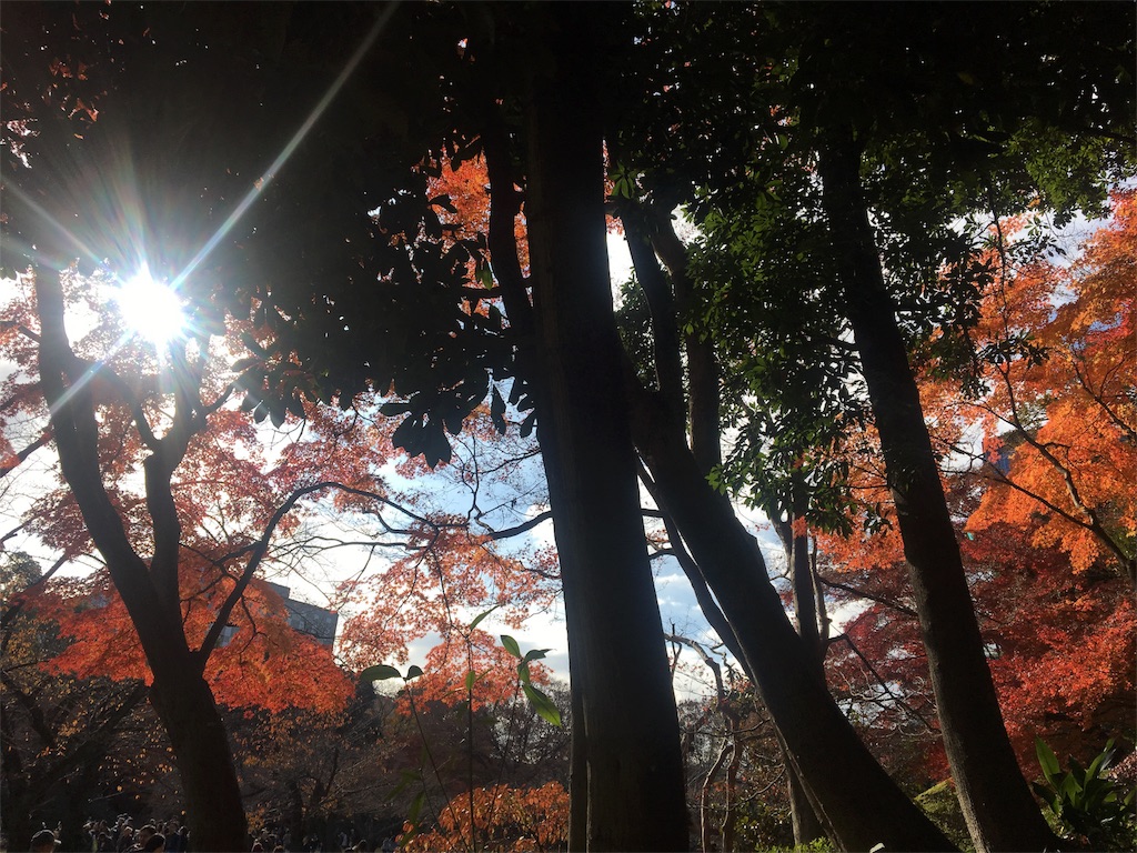 f:id:evergreen114:20161204012240j:image