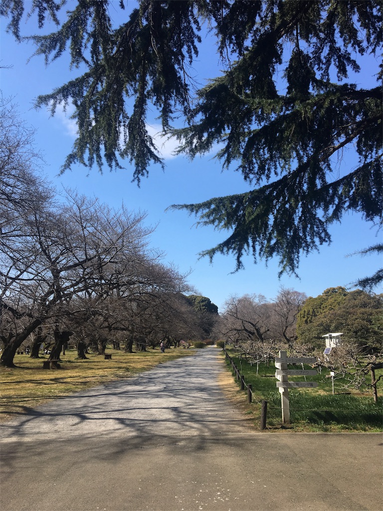 f:id:evergreen114:20170312202329j:image