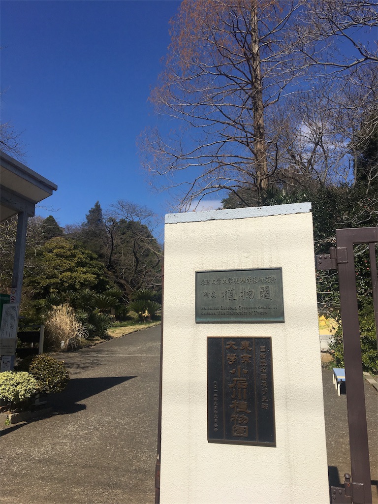 f:id:evergreen114:20170312202547j:image