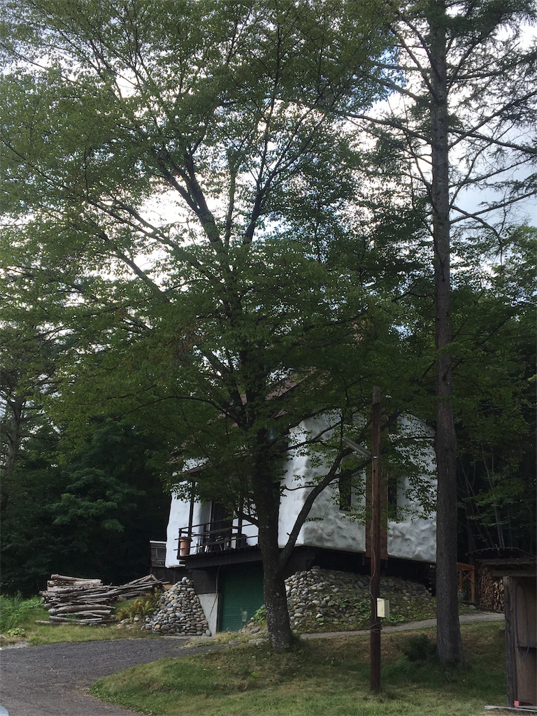 f:id:evergreen114:20180804173355j:image