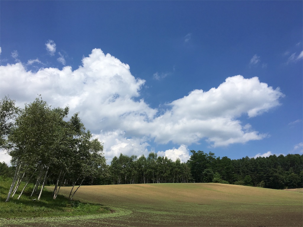 f:id:evergreen114:20180804173358j:image