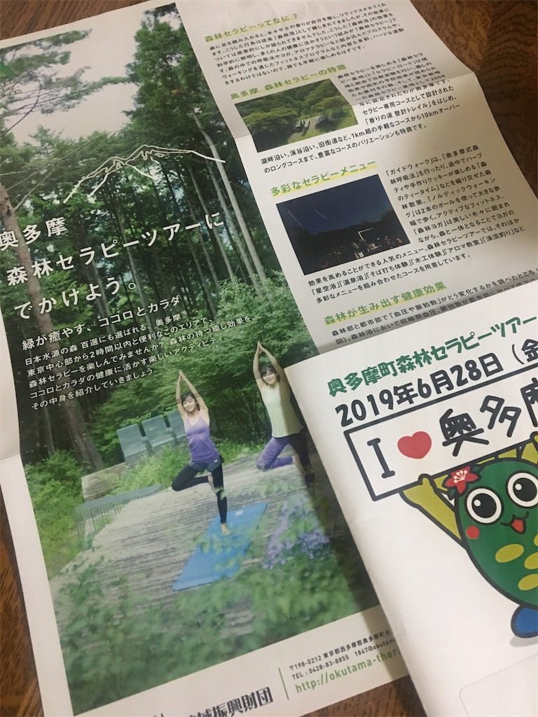 f:id:evergreen114:20190630002555j:image