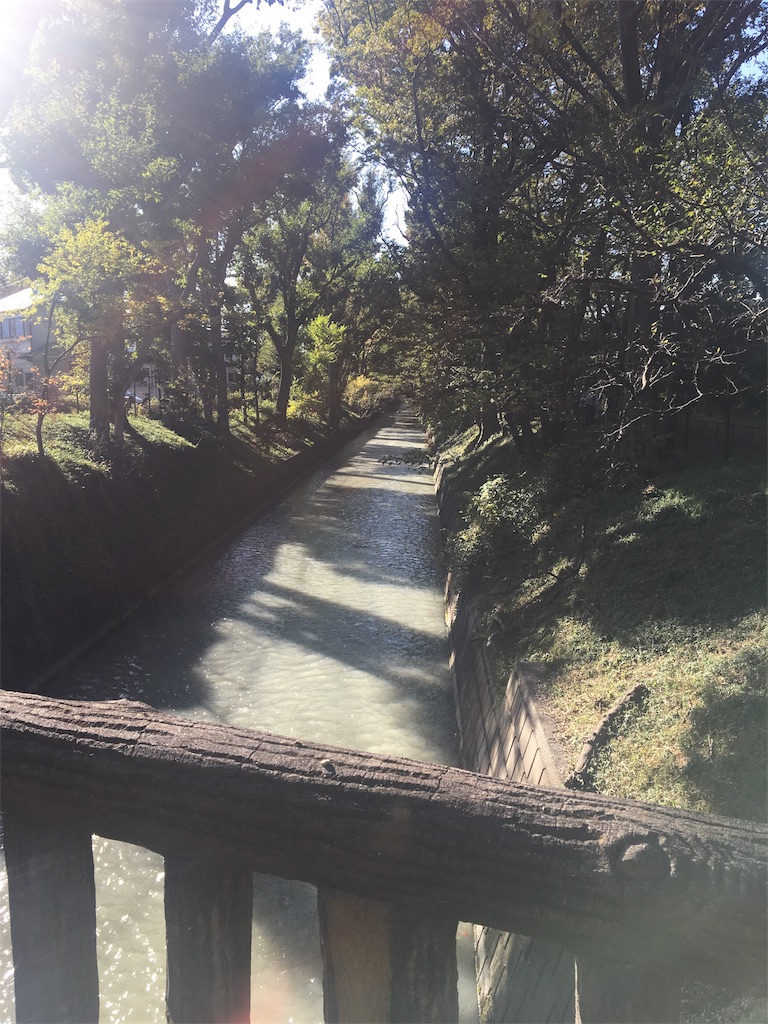 f:id:evergreen114:20191118001616j:image