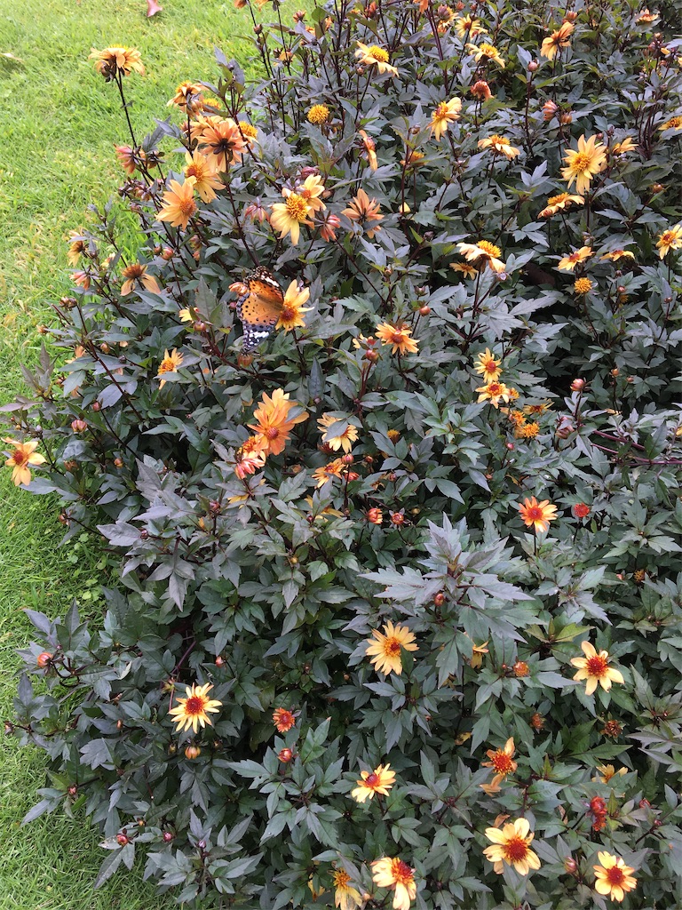 f:id:evergreen114:20200921220421j:image