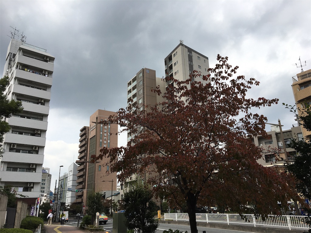 f:id:evergreen114:20201005000740j:image