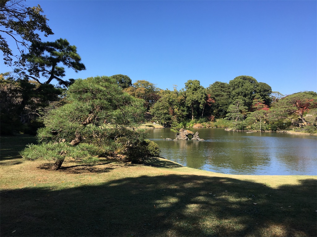 f:id:evergreen114:20201112004456j:image