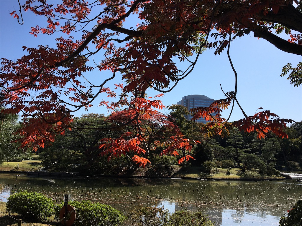 f:id:evergreen114:20201112004526j:image