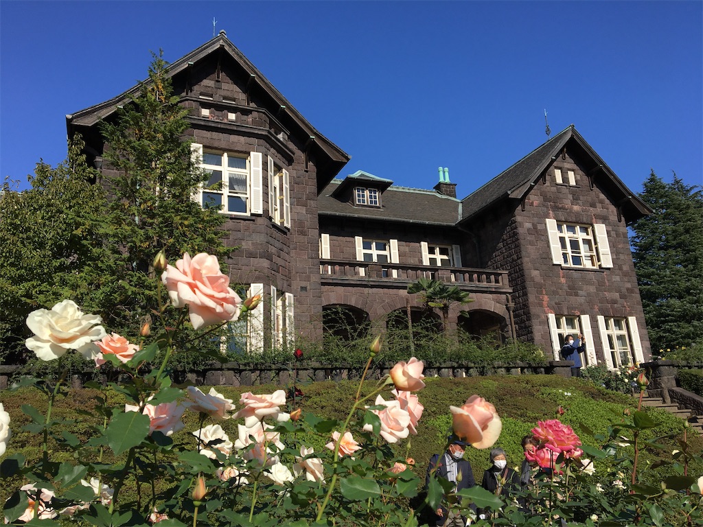 f:id:evergreen114:20201112004620j:image