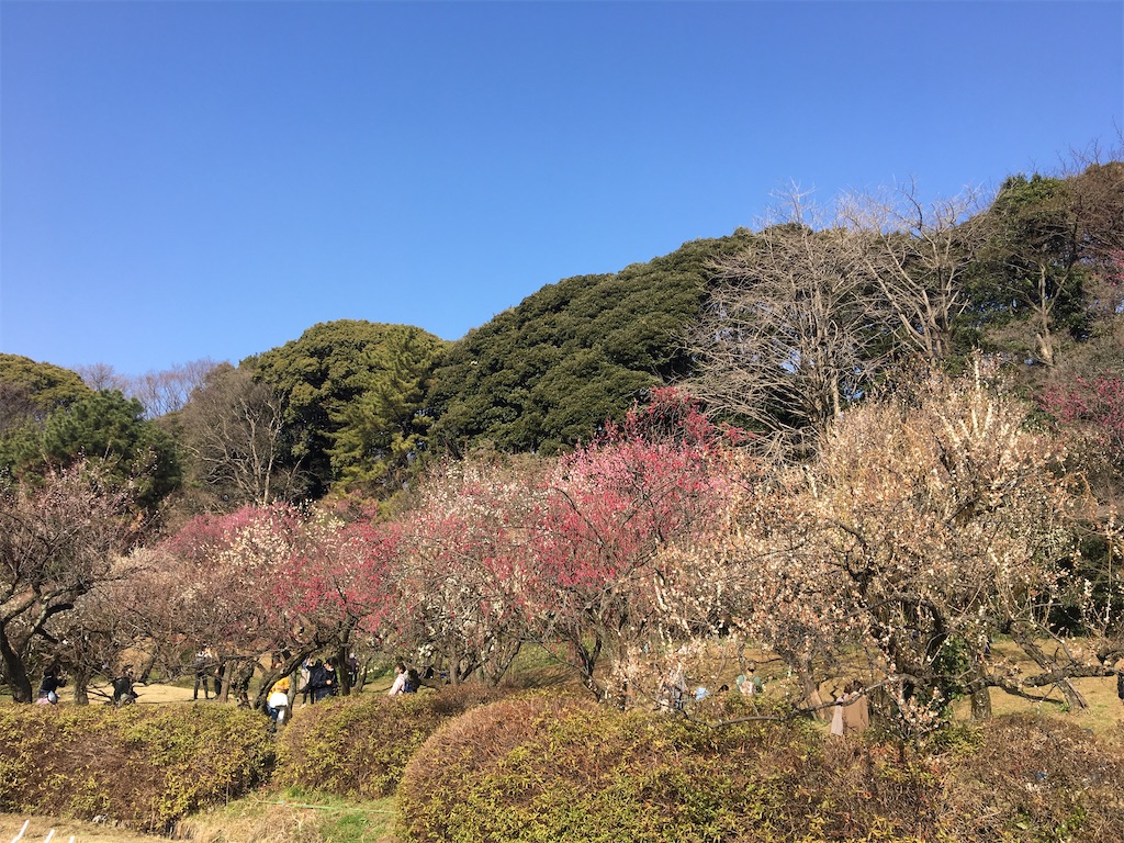 f:id:evergreen114:20210301004113j:image