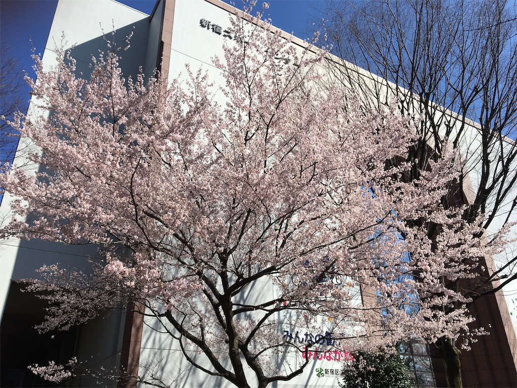 f:id:evergreen114:20210315000859j:image f:id:evergreen114:20210315000859j:image