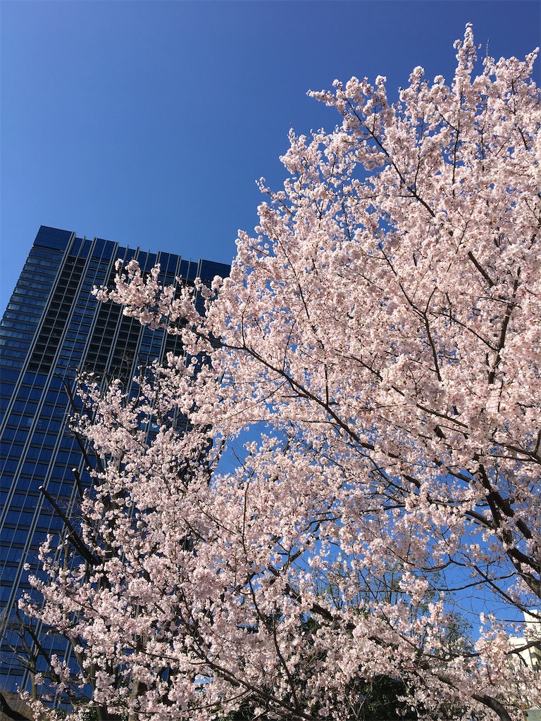 f:id:evergreen114:20210315000924j:image f:id:evergreen114:20210315000924j:image