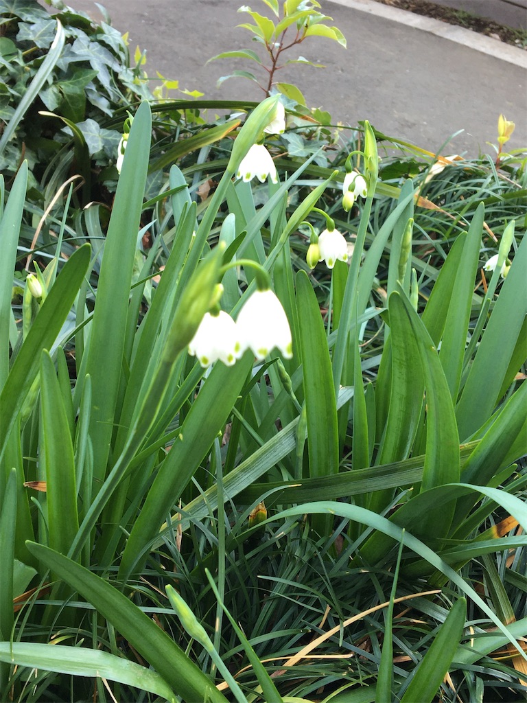 f:id:evergreen114:20210315001034j:image f:id:evergreen114:20210315001034j:image
