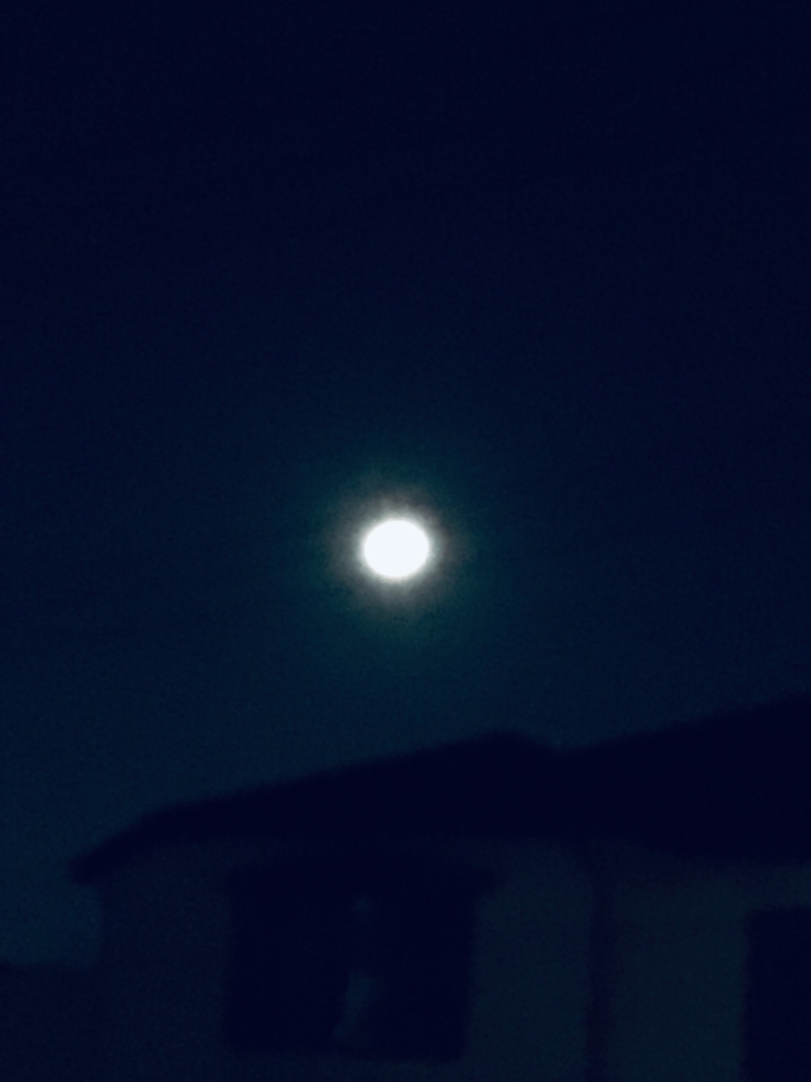 f:id:evergreen59bo:20191116165925j:plain f:id:evergreen59bo:20191116165925j:plain