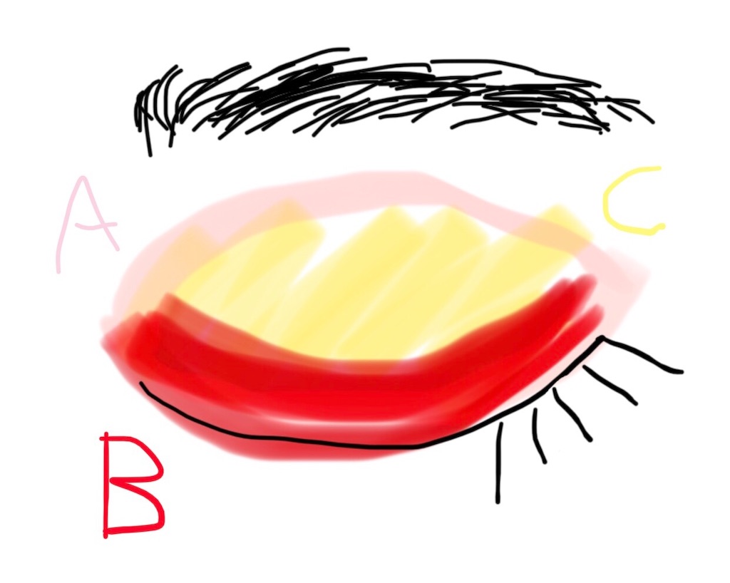 f:id:evergreen7:20201118150846j:image