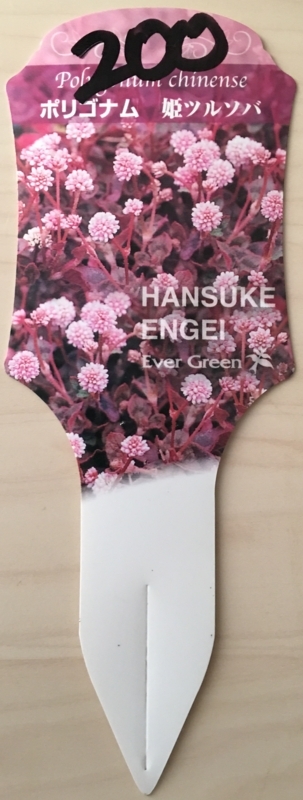 f:id:evergreen_flower:20171001120758j:plain f:id:evergreen_flower:20171001120758j:plain