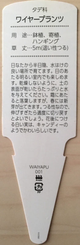 f:id:evergreen_flower:20171001120939j:plain f:id:evergreen_flower:20171001120939j:plain