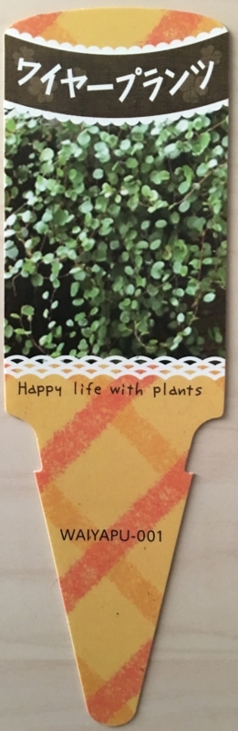 f:id:evergreen_flower:20171001120946j:plain f:id:evergreen_flower:20171001120946j:plain