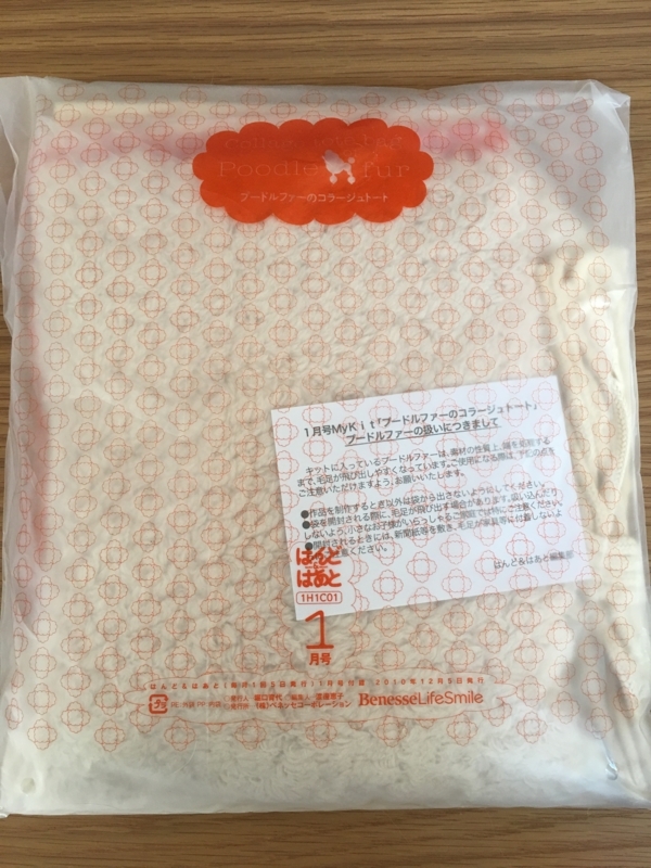 f:id:evergreen_flower:20180222103936j:plain