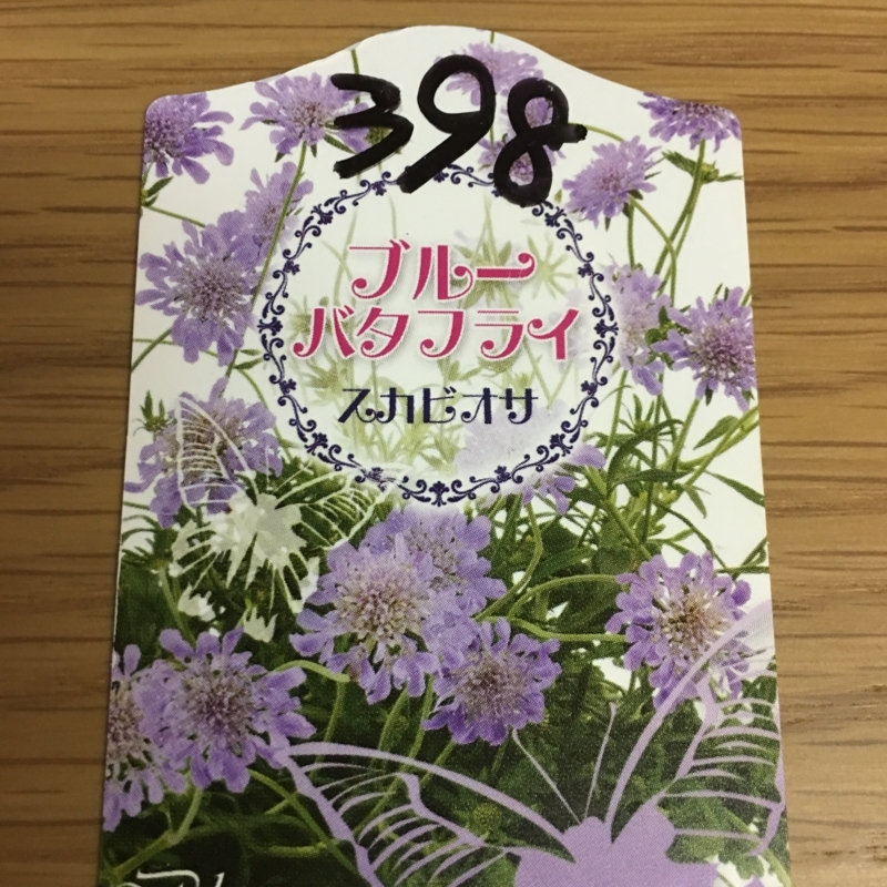 ラベル スカビオサ ブルーバタフライ Flower Diary