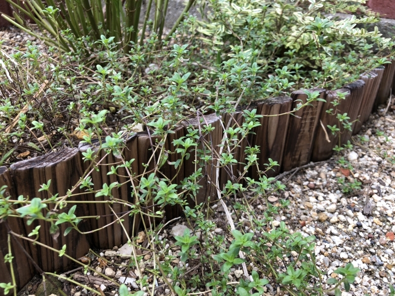 ガーデンエッジ