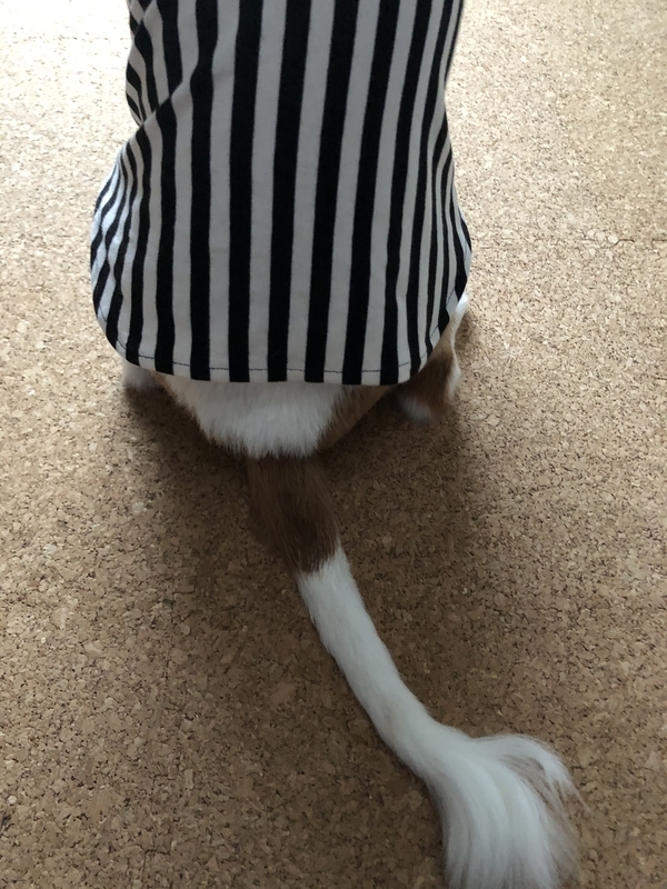 犬服　ハンドメイド